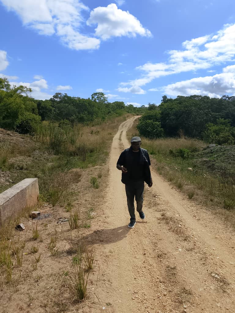 Landscape view of Lwangwa Game Reserve